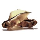 Rinderohren mit kleiner Muschel