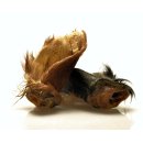Kalbsohren mit Muschelring und Fell