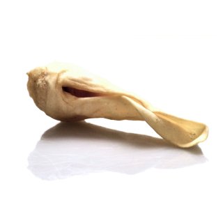 Lammohren